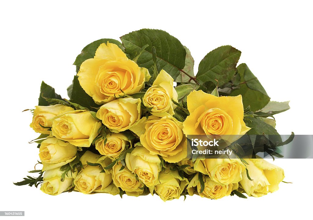 黄色のバラ - カットアウトのロイヤリティフリーストックフォト