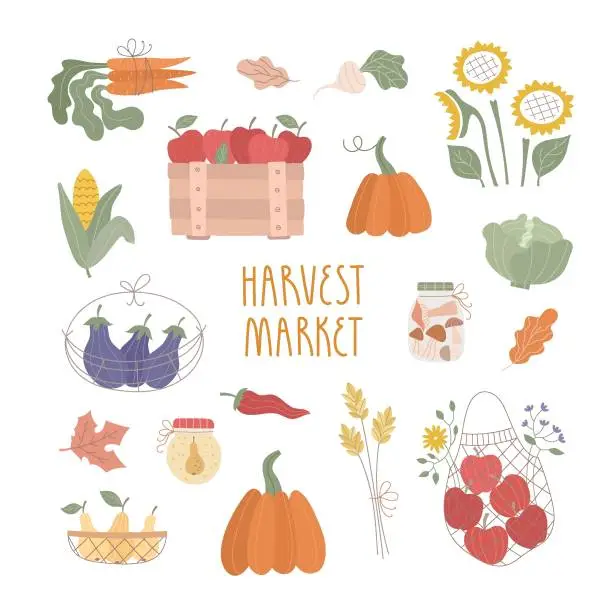 Vector illustration of Set of fresh fruits, vegetables, baskets, farm products. Fall harvest market, cute vector illustrations, stickers.