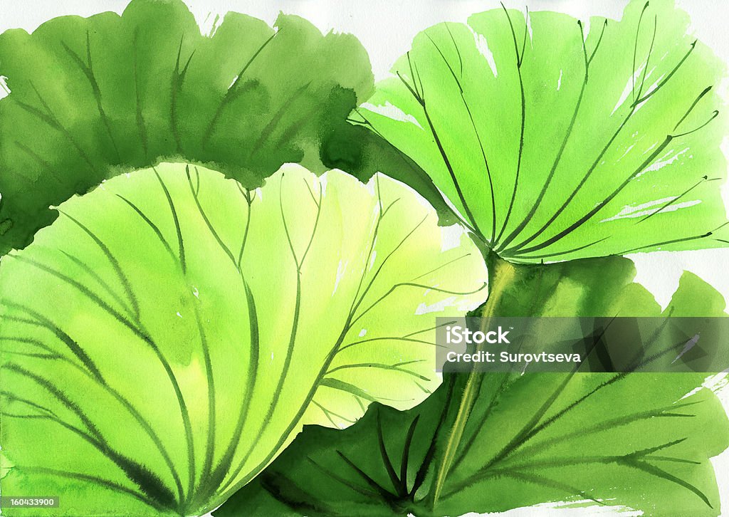 Pintura em Aquarela de verde folhas de lótus - Ilustração de Arte royalty-free