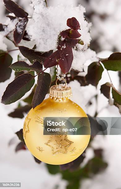 Bolas De Navidad De Mahonia Branch Foto de stock y más banco de imágenes de Adorno de navidad - Adorno de navidad, Aire libre, Arbusto