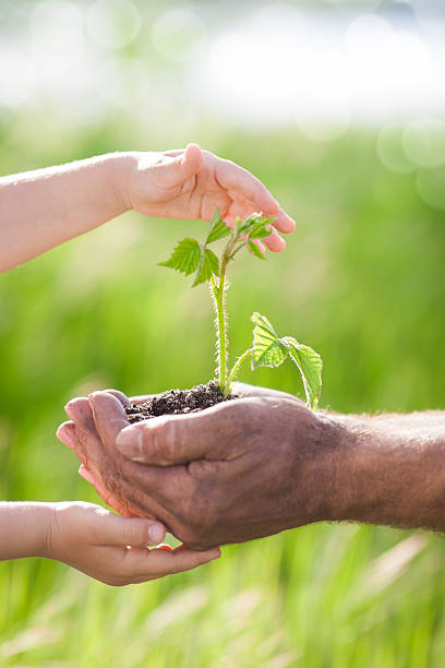 istock Young plant against green background 160435448