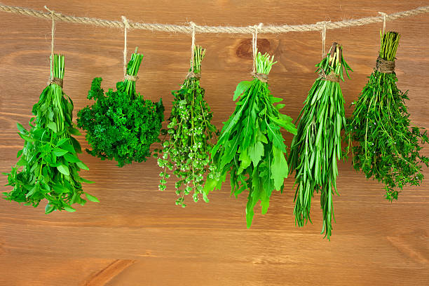istock Fresh  Herbs Collection / Vintage Style 160435451