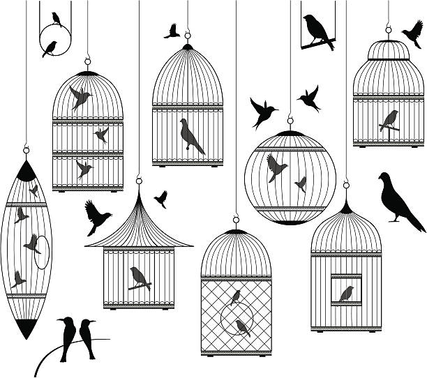 birds and birdcages collection vector art illustration
