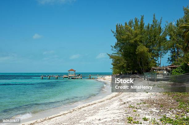 Conch Industrie Stockfoto und mehr Bilder von Bahamas - Bahamas, Inselgruppe Abaco, Anlegestelle