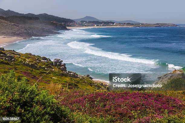 Wilden Stränden In La Coruña Stockfoto und mehr Bilder von Atlantik - Atlantik, Blume, Fotografie