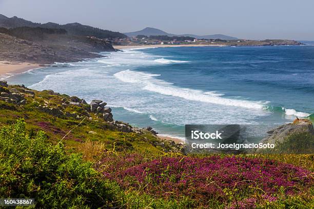 Foto de Wild Praias De La Coruña e mais fotos de stock de Espanha - Espanha, Exterior, Flor