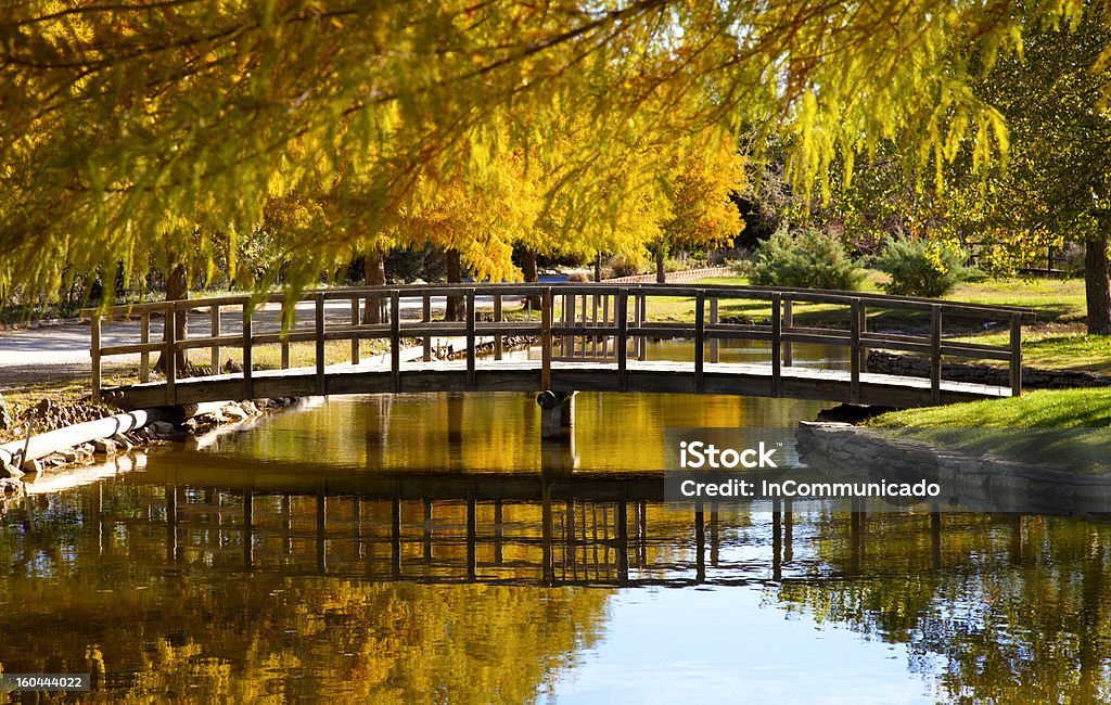 Riflessione in Creek Bridge - Foto stock royalty-free di Acqua