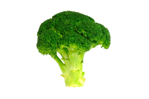 Vibrant green broccoli isolated on a white background.