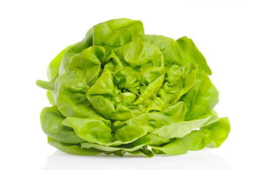 Lettuce isolated on white.