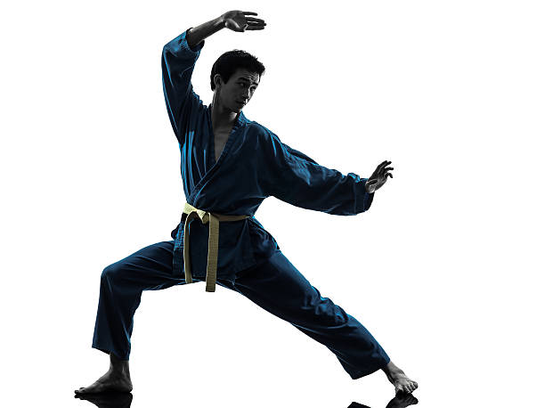 istock karate vietvodao martial arts man silhouette 160446218