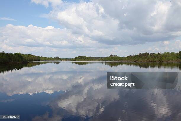 Bellezza Naturale Lago Con Mirroring Effetto - Fotografie stock e altre immagini di Acqua - Acqua, Albero, Albero sempreverde