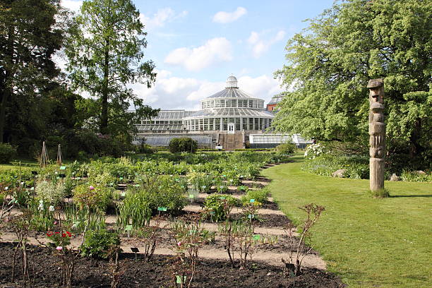 istock Botanic Garden, Copenhagen 160446864