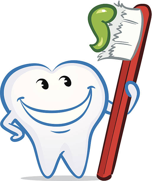wektor puszczać oko szczęśliwy uśmiech ząb - human teeth fairy cartoon toothbrush stock illustrations