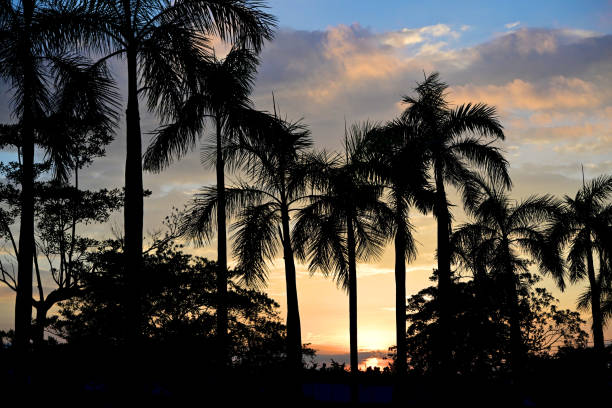 Sunset,Tsim Sha Tsui