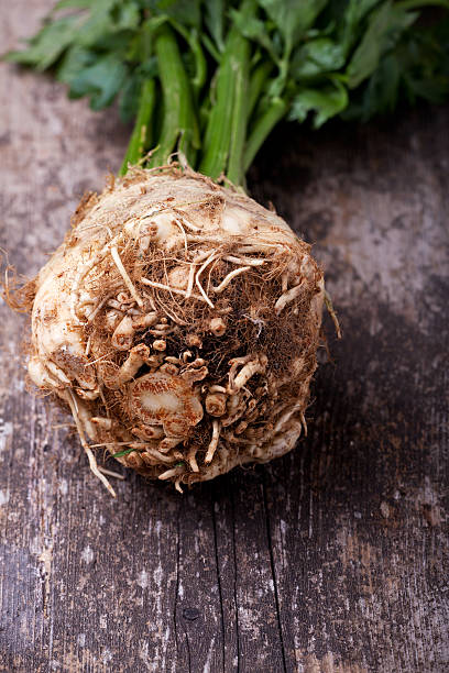istock View of ball root of celery plant 160452151