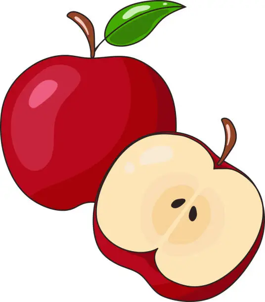 Vector illustration of Red Delicious Organic Apple Sticker Illustration Graphic Element Art Card