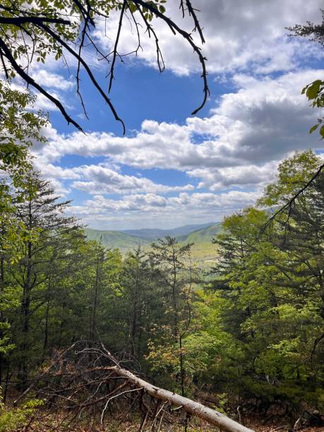 istock View from McAfee Knob Appalachian Trail 1604552444