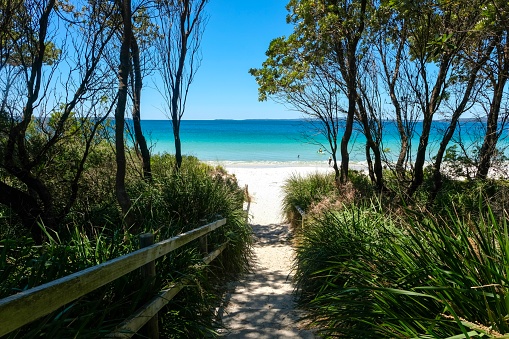 Wooden steps framed by trees and shrubs leading down to a white sand beach in Shoalhaven — Callala Beach, Jervis Bay National Park; New South Wales, Australia