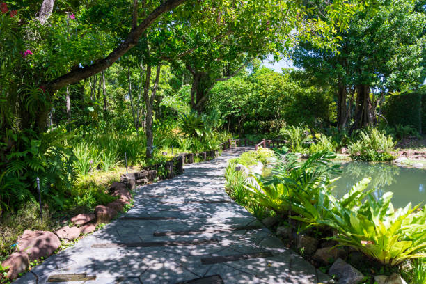 istock Beautiful tropical garden in summer. 1604634434