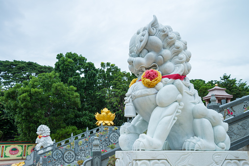 White stone Chinese guardian lion in Chinese temple, Kanchanaburi Thailand. Art, culture, religion concept.