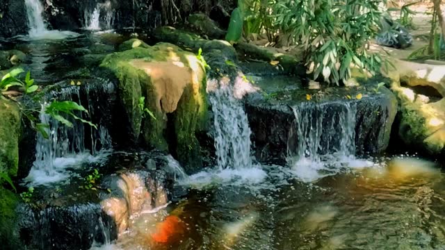 Slow motion waterfall at  garden.