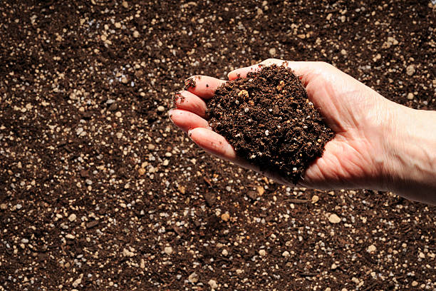 istock Soil in hand against humus soil background with copy space 160466213