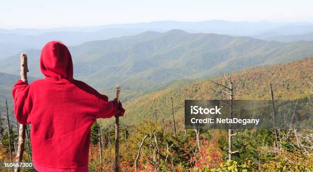 Chłopiec Patrzy W Gór Smoky Mountains - zdjęcia stockowe i więcej obrazów Drzewo - Drzewo, Góry Great Smoky, Stan Karolina Północna