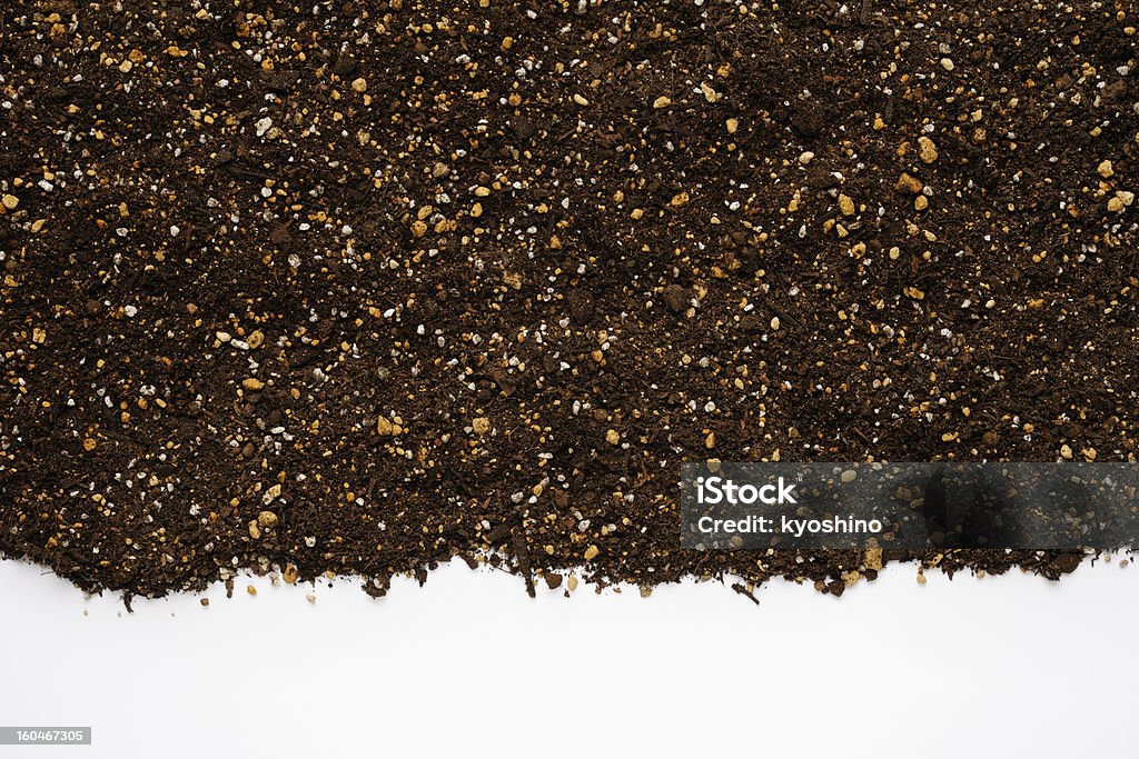 絶縁ショットの園芸 humus 土壌に白背景 - カラー画像のロイヤリティフリーストックフォト