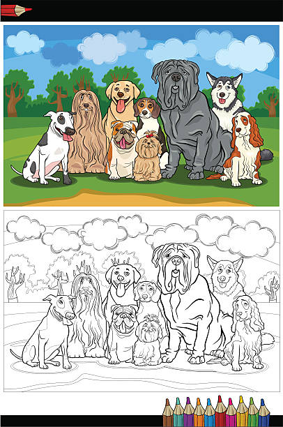 purebred psy kreskówka dla kolorowanka - dog malamute sled dog bulldog stock illustrations