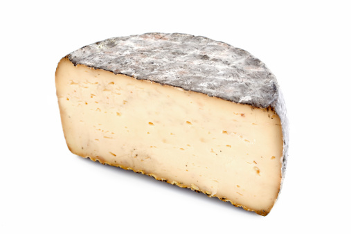 tomme cheese in front of white background