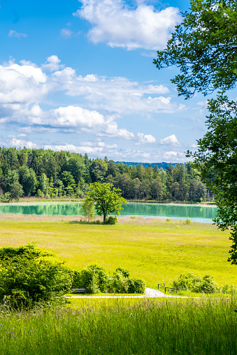 Breiter Luzin lake in Feldberger Seenlandschaft - Mecklenburg, Germany