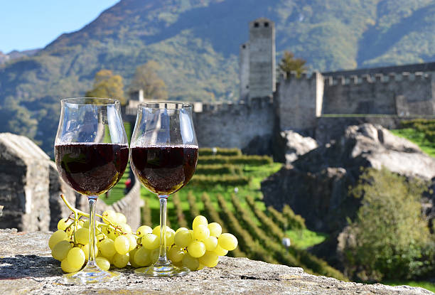 par de wineglasses e uvas - tessin imagens e fotografias de stock