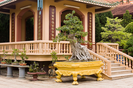 Truc Lam Pagoda, Dalat, Vietnam, Asia