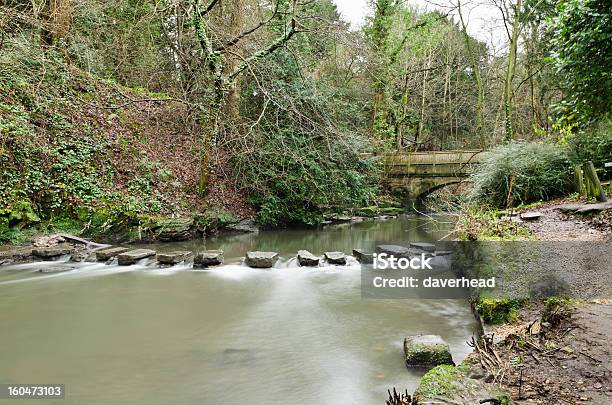 Kamieni Jesmond Dene Celu - zdjęcia stockowe i więcej obrazów Anglia - Anglia, Bez ludzi, Brzeg rzeki