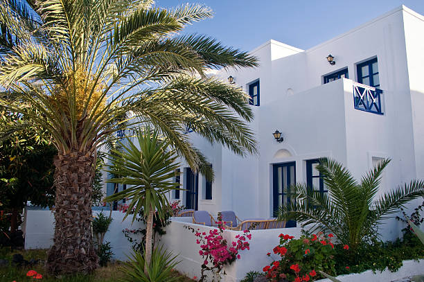 istock Greece House with Palm 160473194