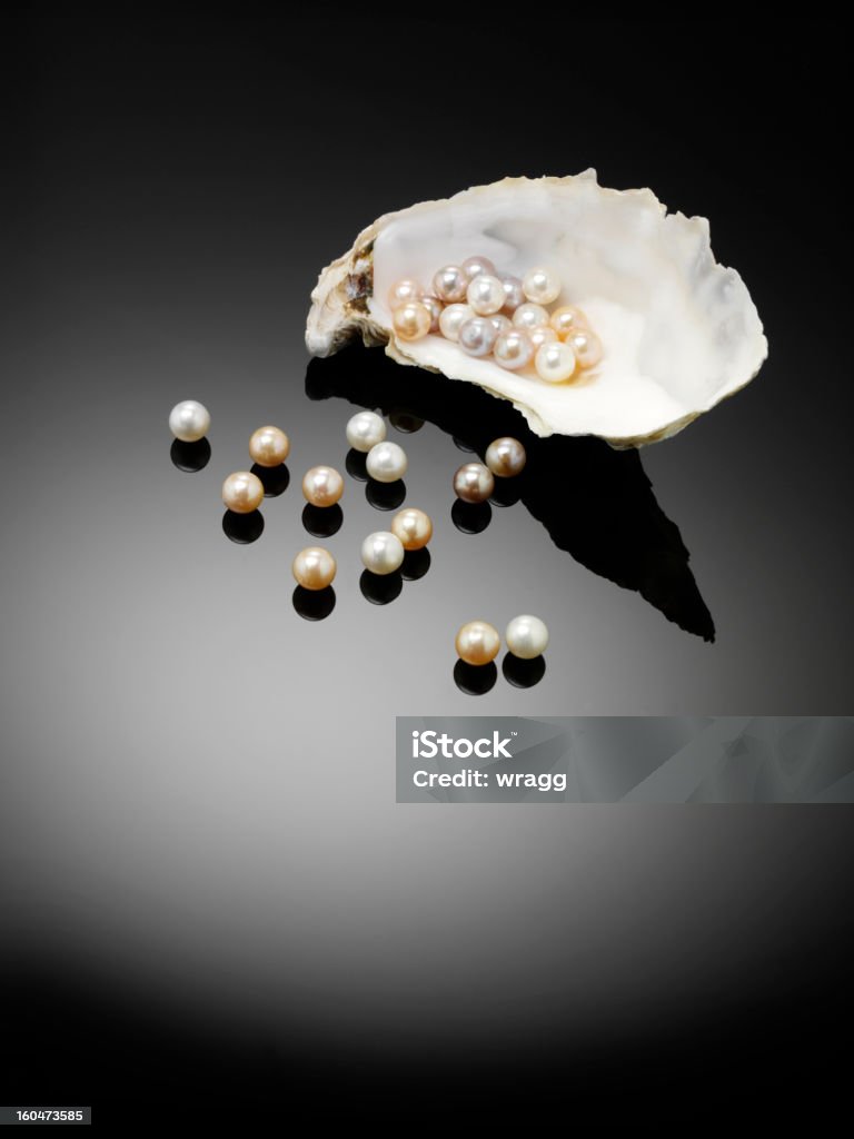Wszystkie organiczne Pearls i Oyster - Zbiór zdjęć royalty-free (Perła - Ostryga)