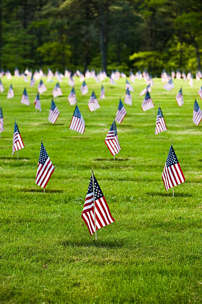 istock Flags at the National Cemetary 160473617