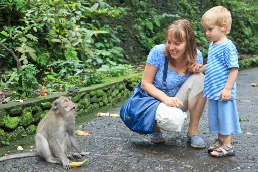 mother and son feeding wild monkey in Bali, Indonesia