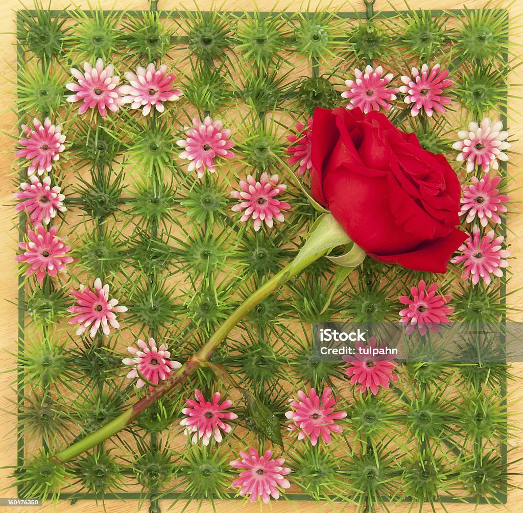rose sur coeur Symbole - Photo de Amour libre de droits