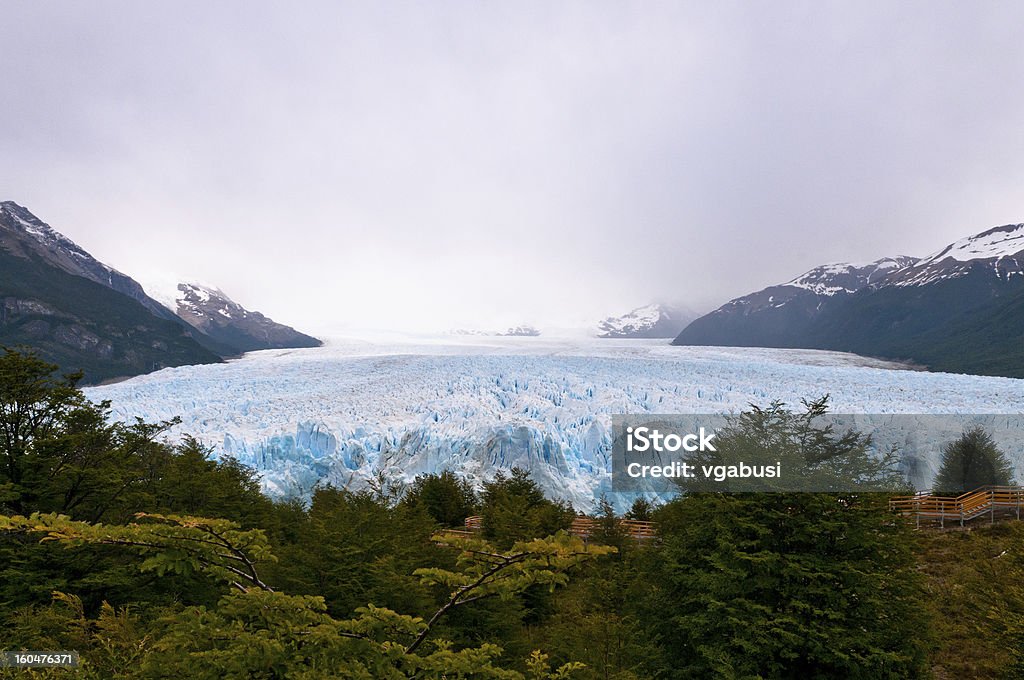 Perito Moreno w Patagonia (Argentyna). Panoramicznym widok - Zbiór zdjęć royalty-free (Ameryka Południowa)