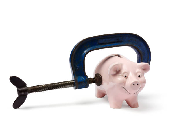 istock Piggy Bank and Clamp 160476391