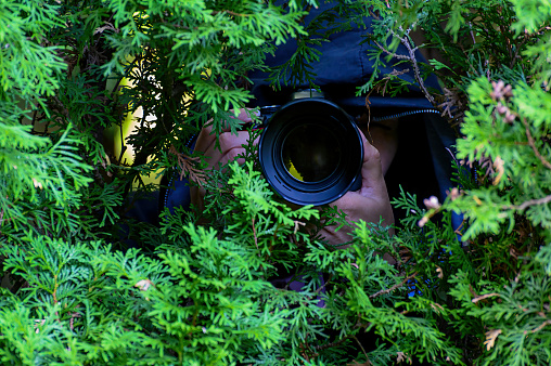 Paparazzi photograph a famous person on the sly. A private detective is filming from behind the bushes.
