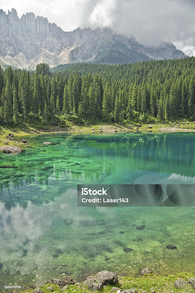 Der See lake - Lizenzfrei Baum Stock-Foto