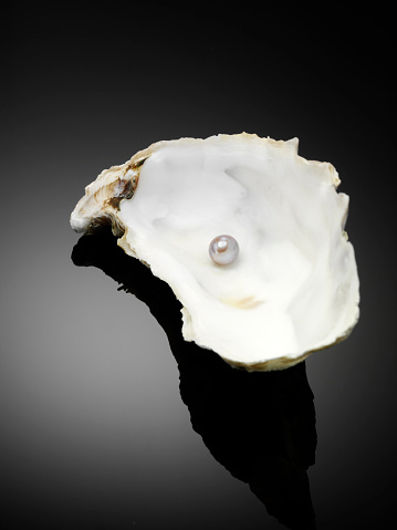 Freshwater pearl in a oyster shell.