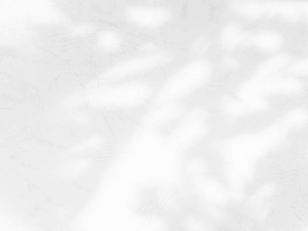 istock Shadow Leaf Background, Abstract Plant Leaves White Light on blur Cement Marble, Overlay Sun  Light Shade Nature Tree Floral Texture on Wall Floor Minimal Mockup Template Backdrop Space 1604785496