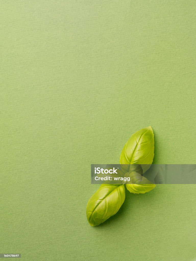 Basilic sur fond vert - Photo de Aliment libre de droits