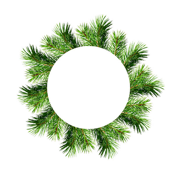 istock Christmas frame from pine twigs with round card for text isolated on white 1604797189
