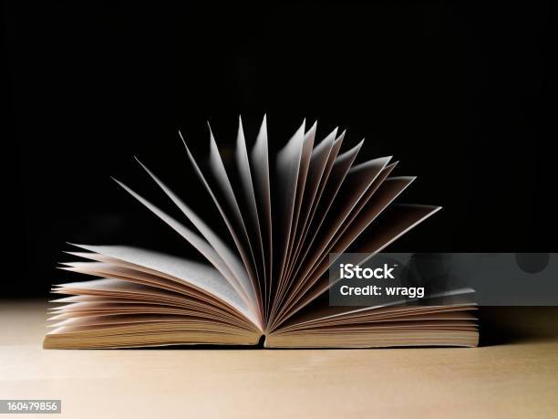 Liebe Ein Gutes Buch Stockfoto und mehr Bilder von Bildung - Bildung, Buch, Fotografie