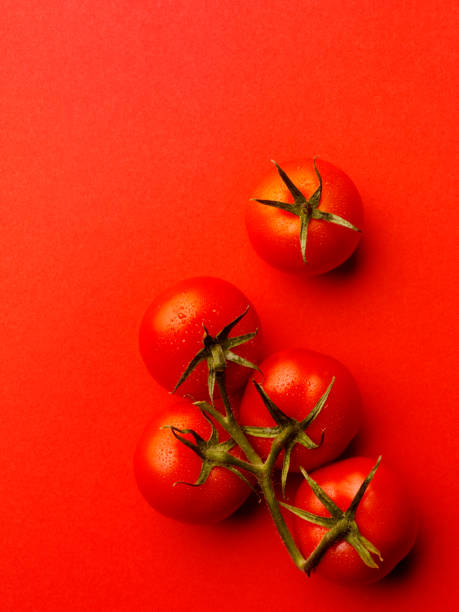 istock Bunch of Red Tomatoes 160479910
