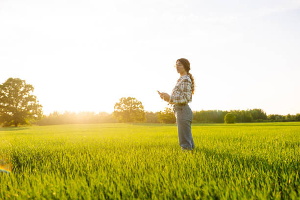 istock Concept of ecology, gardening. 1604825133